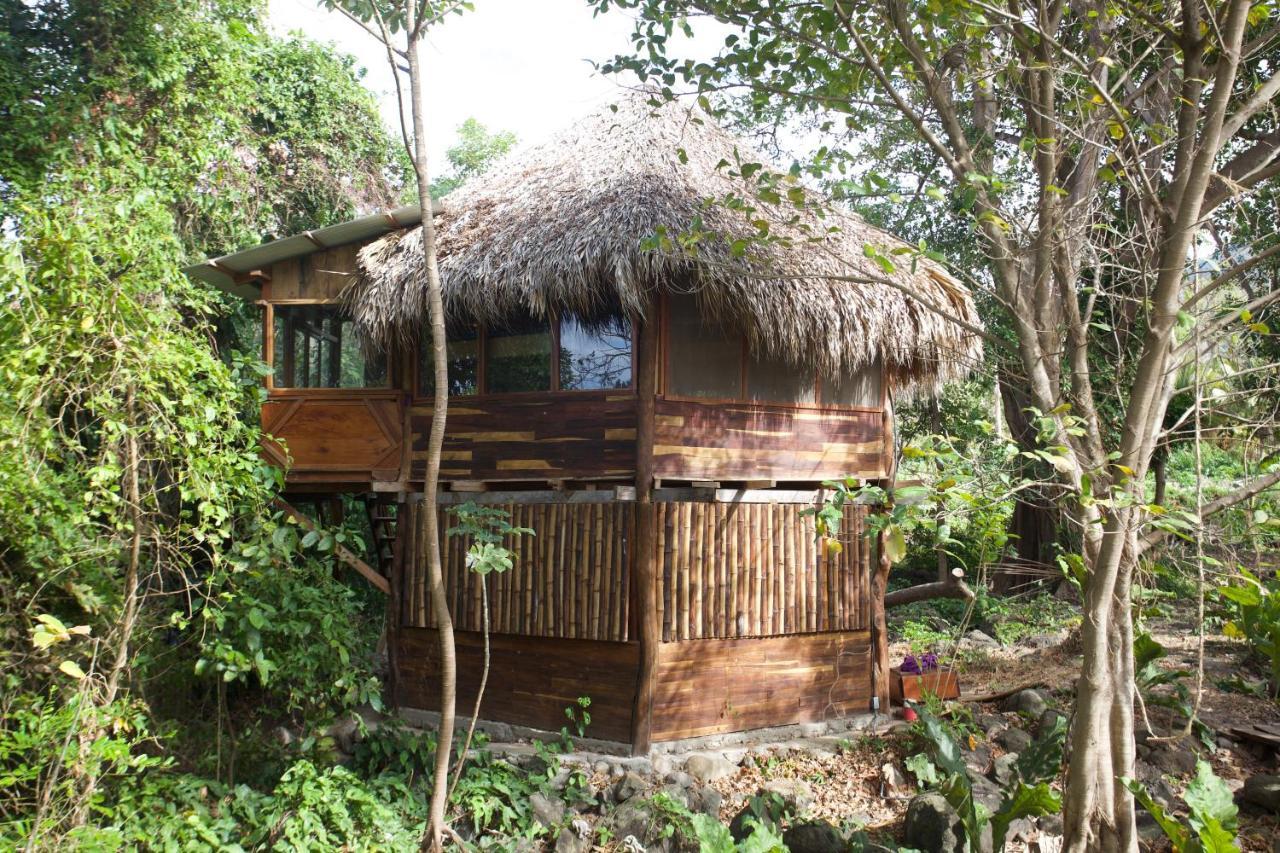 El Pital, Chocolate Paradise Balgue Luaran gambar