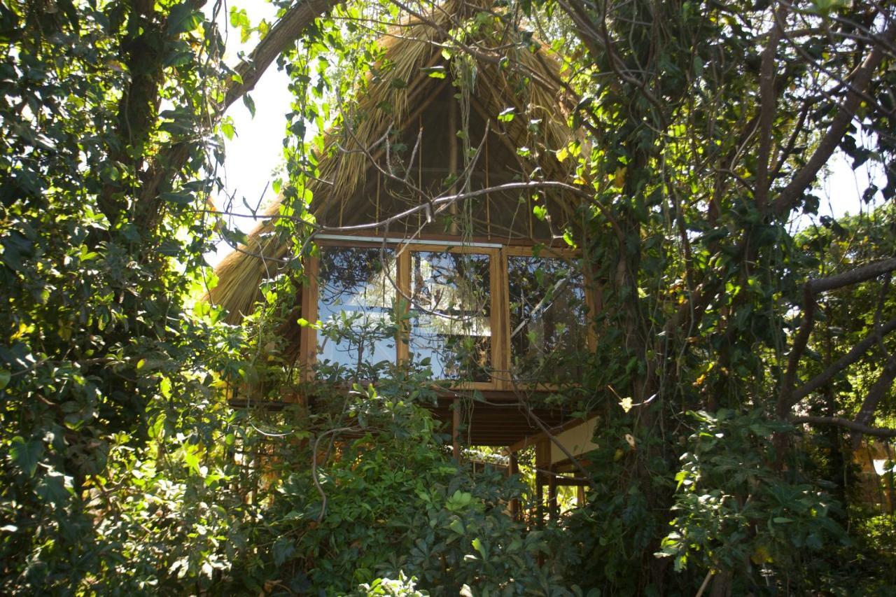 El Pital, Chocolate Paradise Balgue Luaran gambar